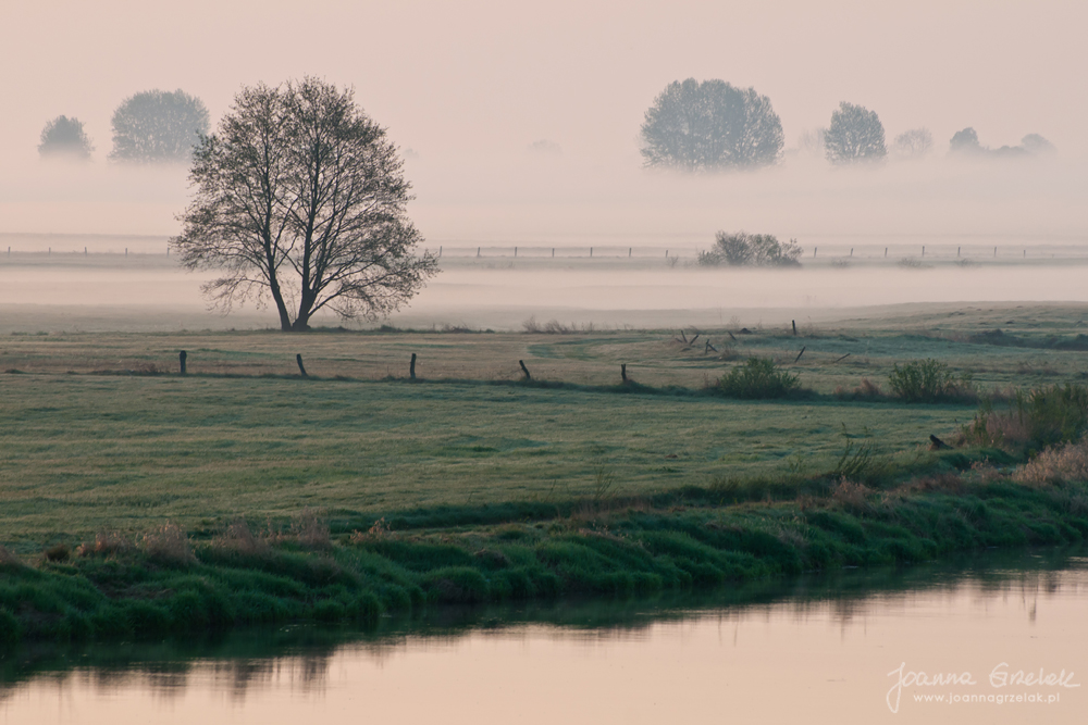 072_Biebrza - kwiecien 2012.jpg